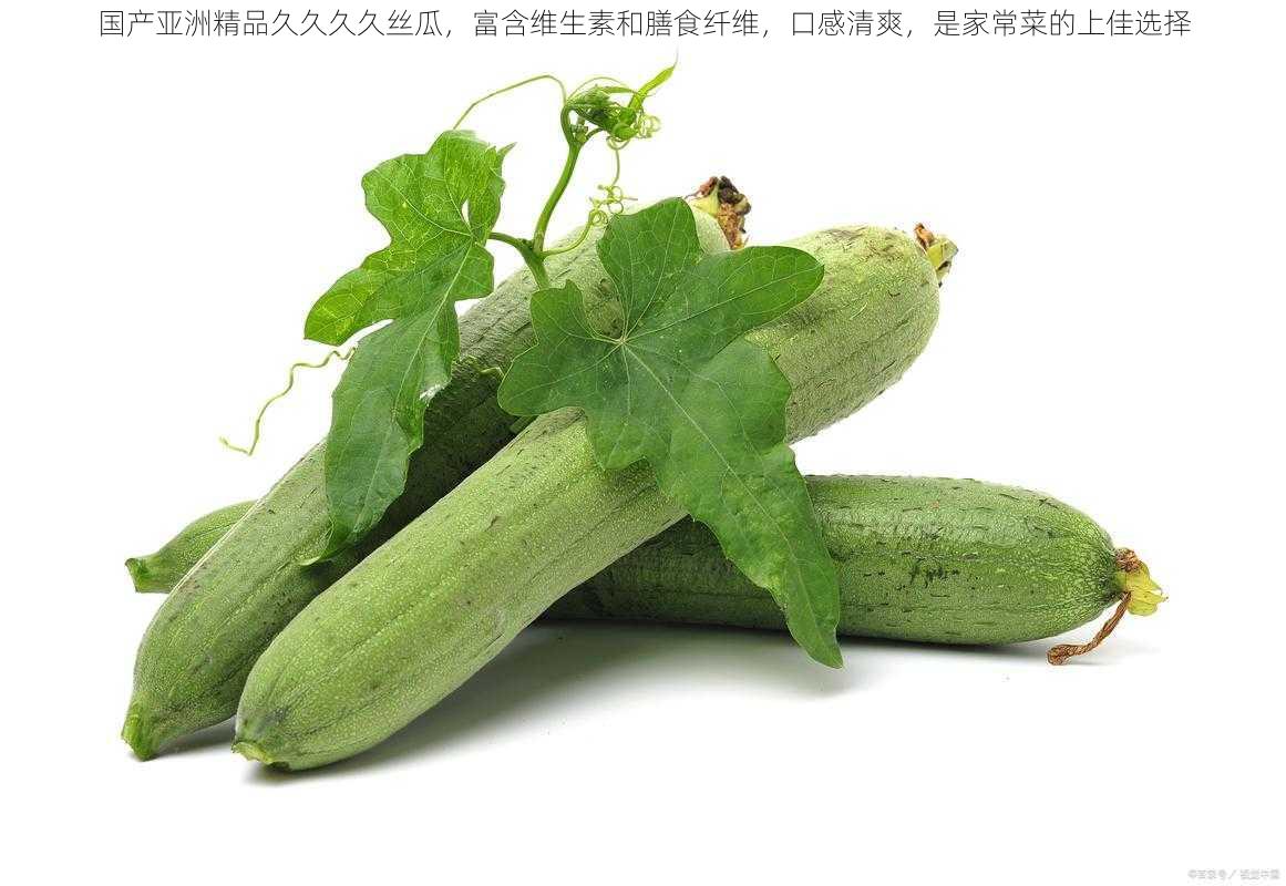 国产亚洲精品久久久久丝瓜，富含维生素和膳食纤维，口感清爽，是家常菜的上佳选择