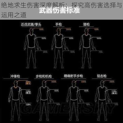 绝地求生伤害深度解析：探究高伤害选择与运用之道